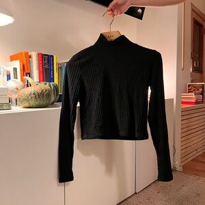 Aritzia Wilfred Free Cropped Turtleneck Knit